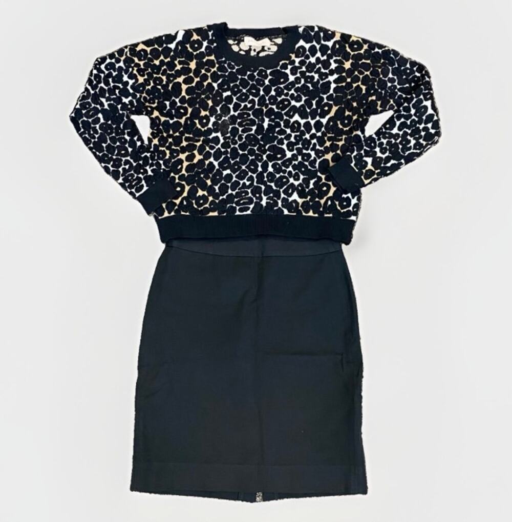 Professional Chic Bundle Philosophy Sweater (S) & Banana Republic Skirt (Sz 2)